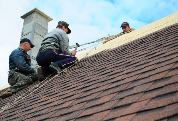 Best Roof Leak Repair  in Romeo, MI
